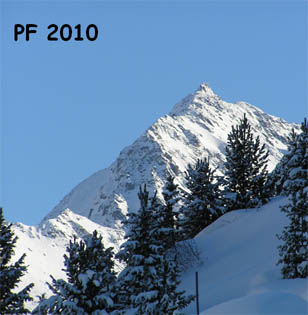 PF 2010